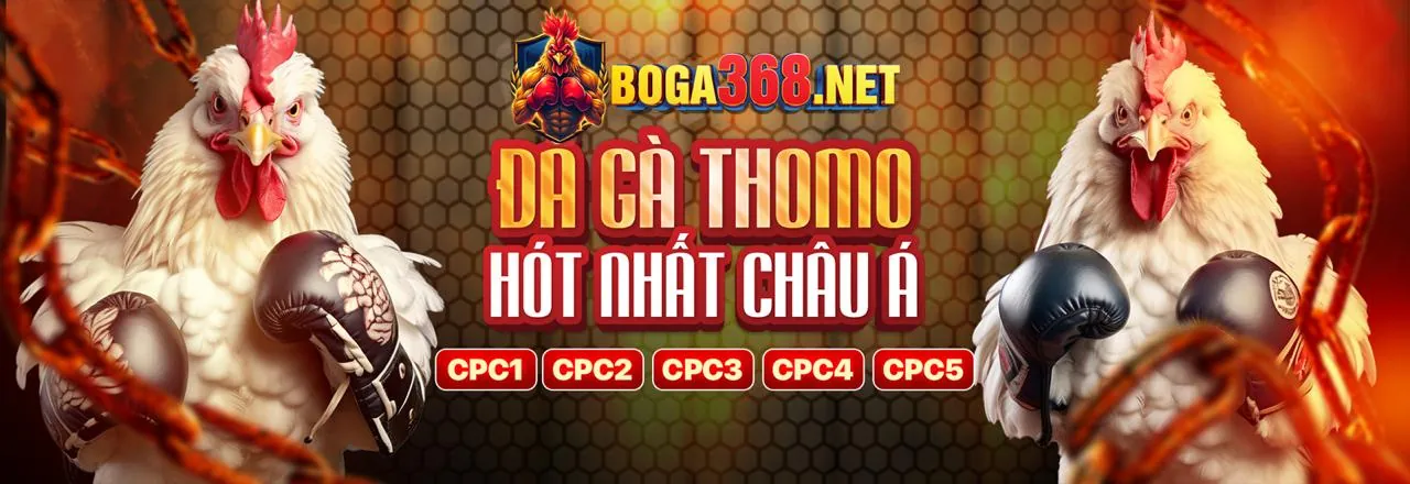 Hình ảnh đá gà trực tuyến Keobong88 2026